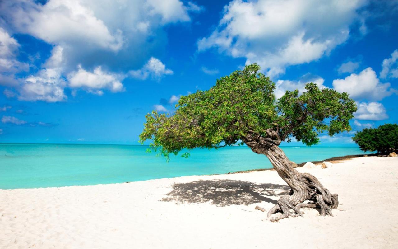 Eagle Beach Steps Away Home Παλμ Μπιτς Εξωτερικό φωτογραφία